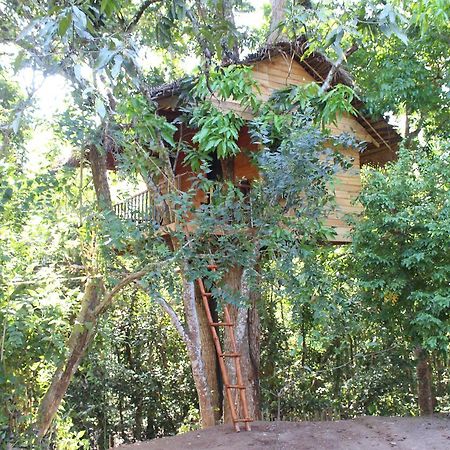 Vila Tree House-Midigama Weligama Exteriér fotografie