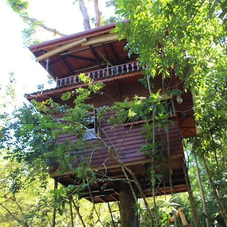 Vila Tree House-Midigama Weligama Exteriér fotografie