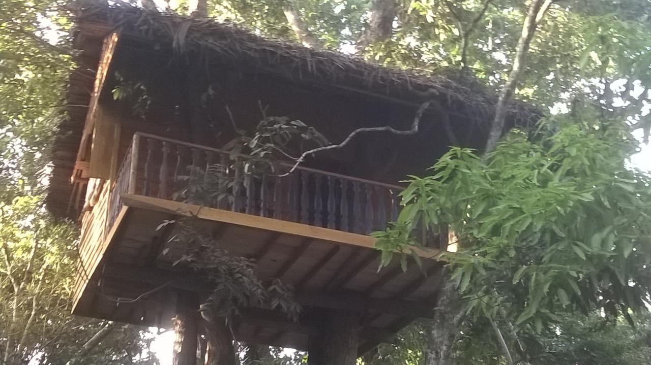 Vila Tree House-Midigama Weligama Exteriér fotografie