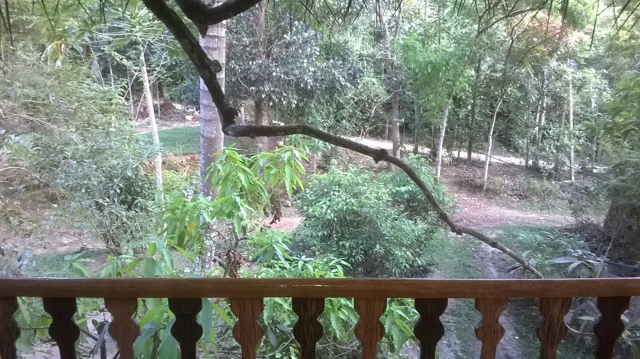 Vila Tree House-Midigama Weligama Exteriér fotografie