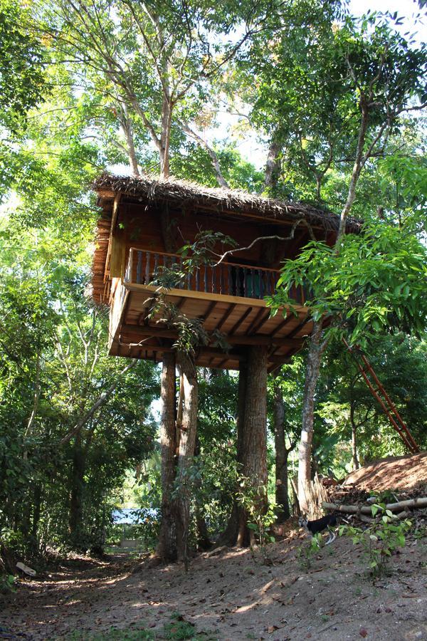 Vila Tree House-Midigama Weligama Exteriér fotografie