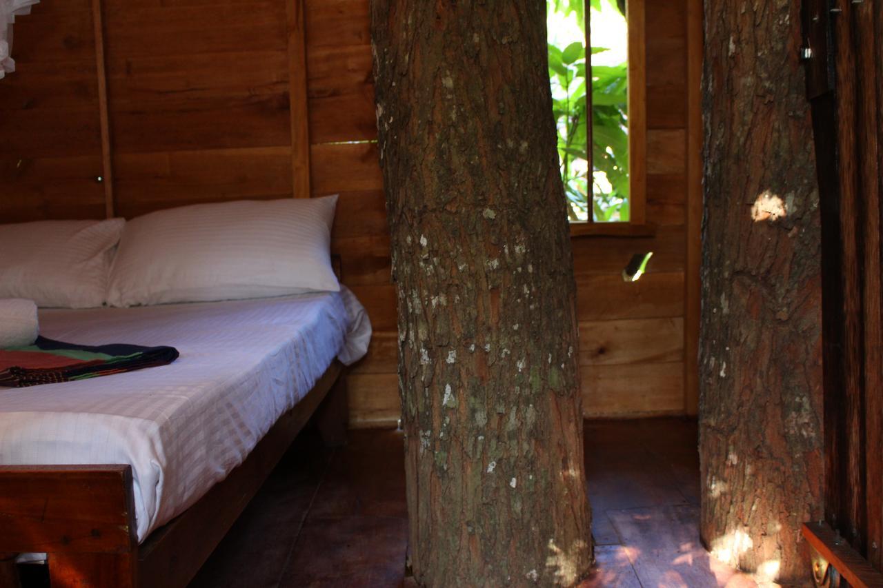 Vila Tree House-Midigama Weligama Exteriér fotografie