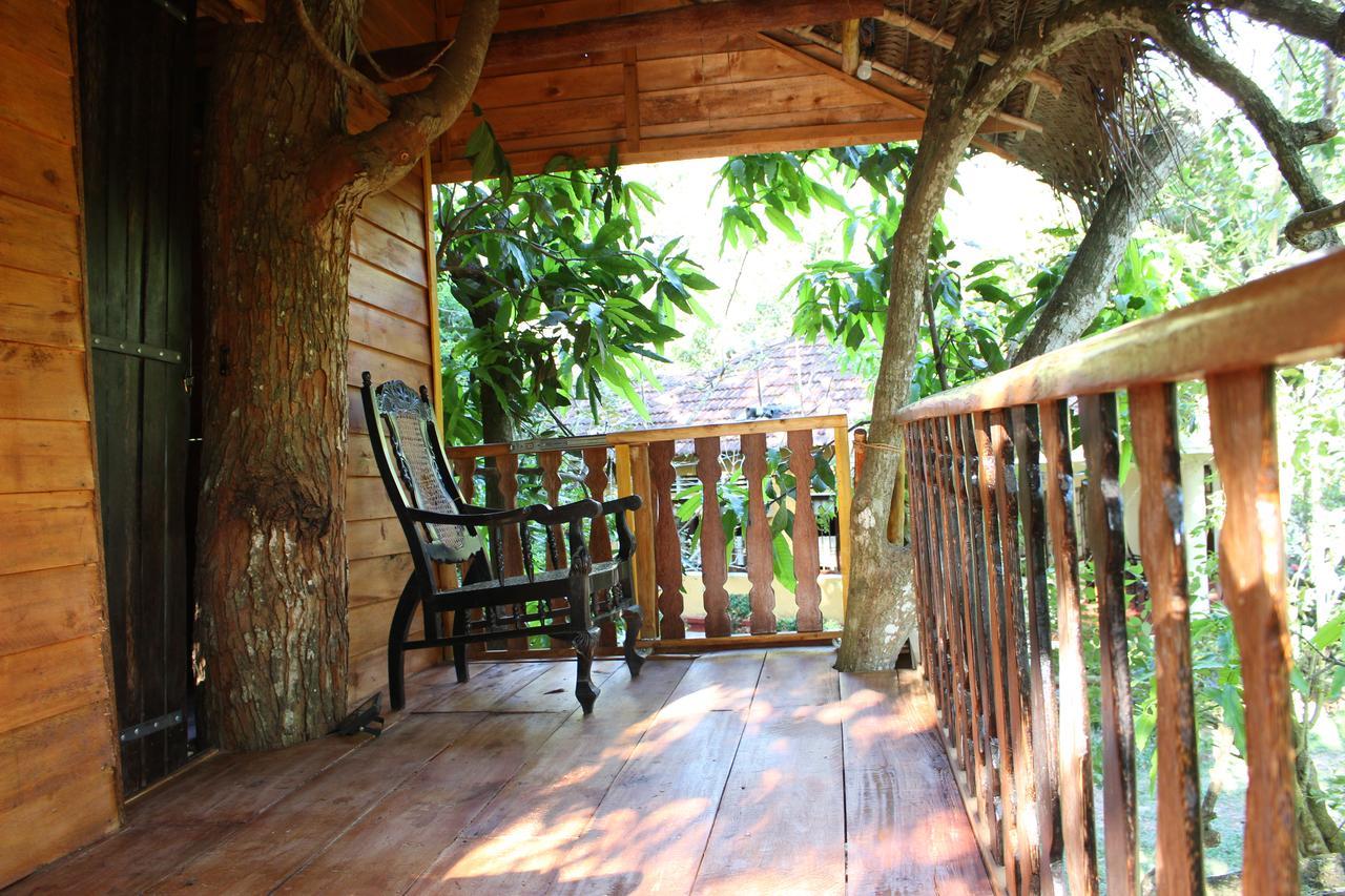 Vila Tree House-Midigama Weligama Exteriér fotografie