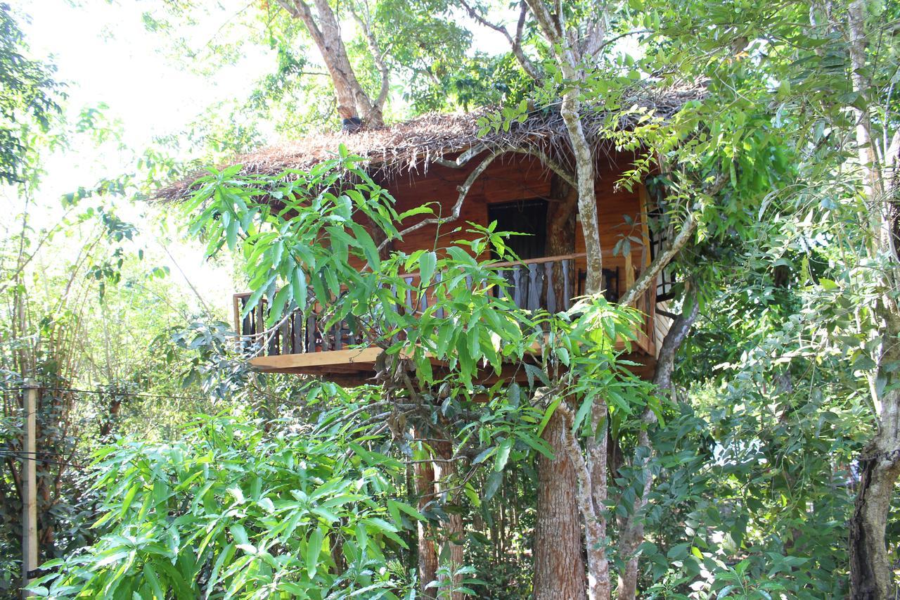 Vila Tree House-Midigama Weligama Exteriér fotografie