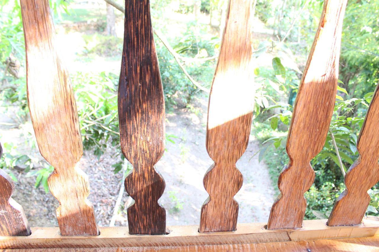 Vila Tree House-Midigama Weligama Exteriér fotografie