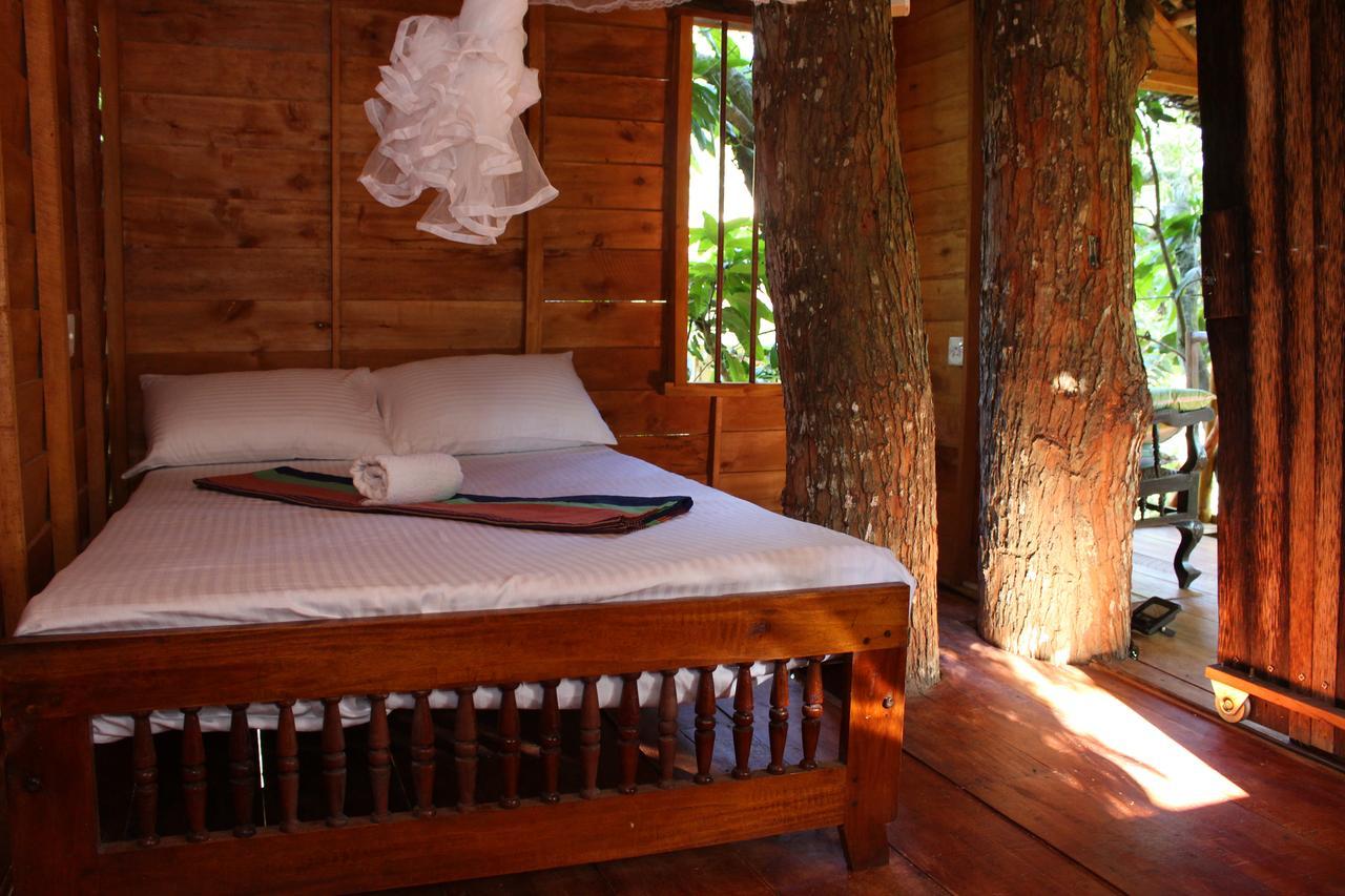 Vila Tree House-Midigama Weligama Exteriér fotografie