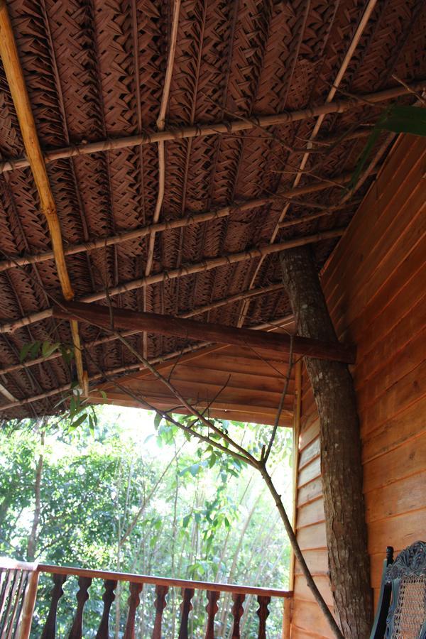 Vila Tree House-Midigama Weligama Exteriér fotografie