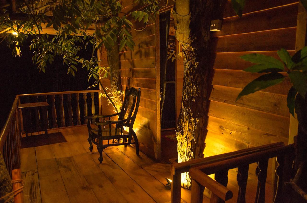Vila Tree House-Midigama Weligama Exteriér fotografie