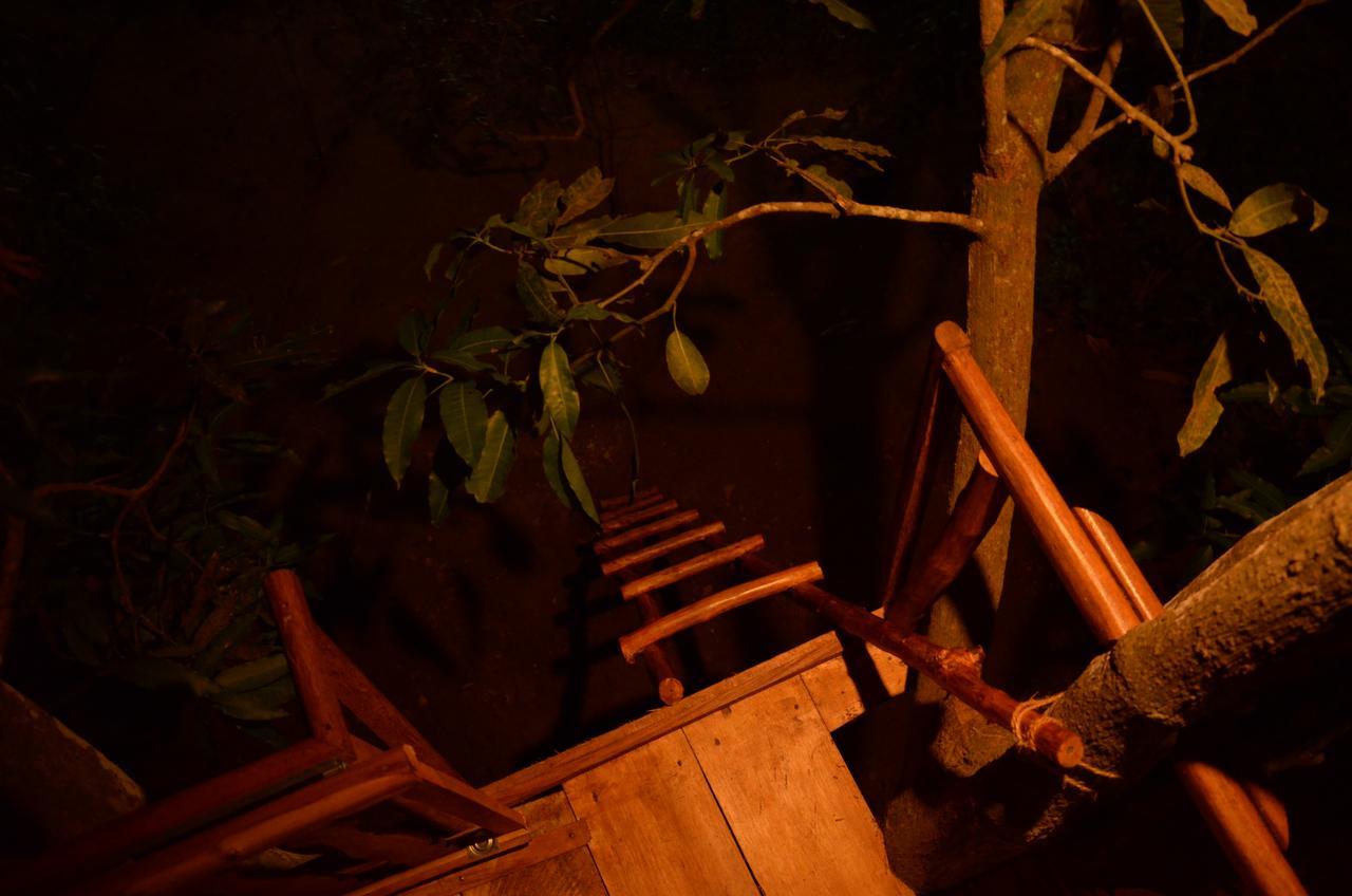Vila Tree House-Midigama Weligama Exteriér fotografie