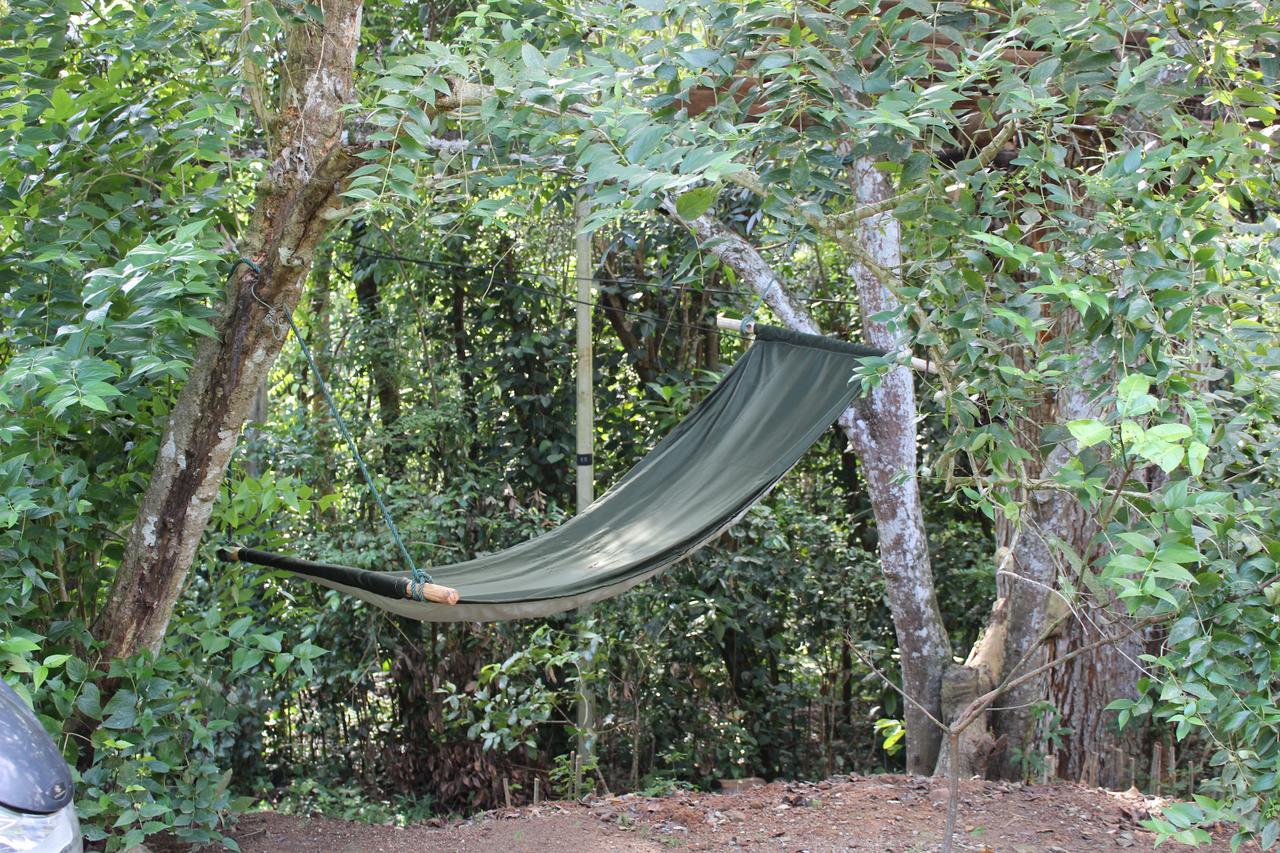 Vila Tree House-Midigama Weligama Exteriér fotografie