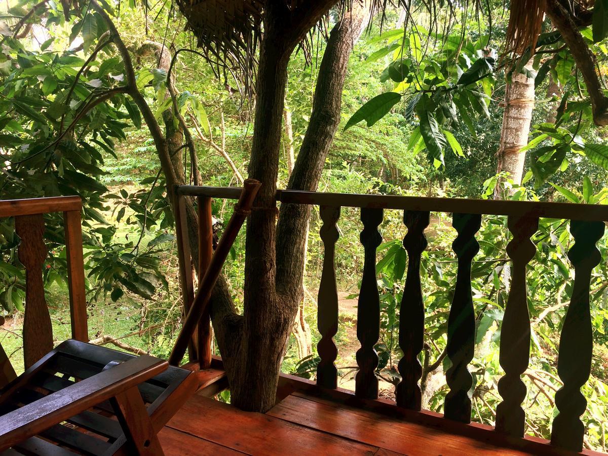 Vila Tree House-Midigama Weligama Exteriér fotografie