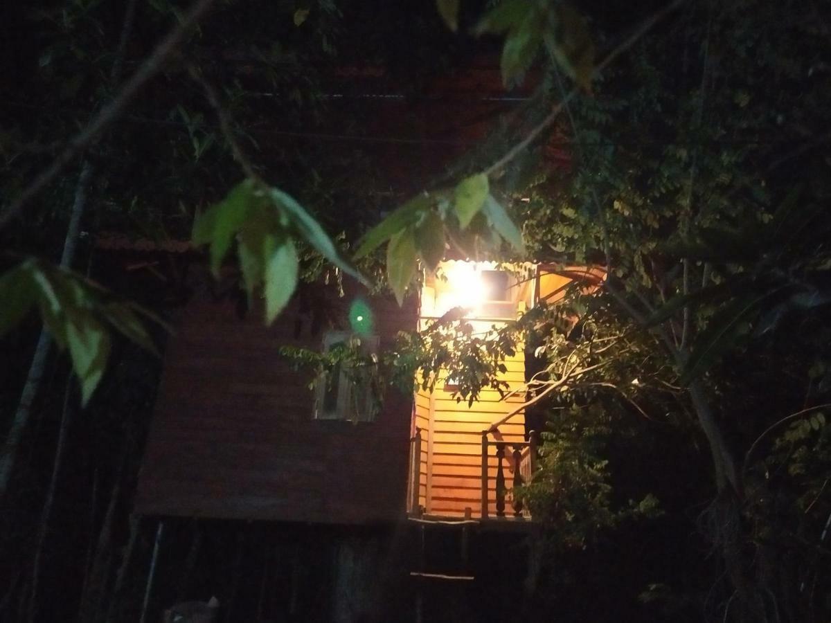 Vila Tree House-Midigama Weligama Exteriér fotografie