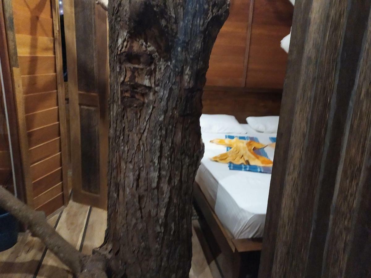 Vila Tree House-Midigama Weligama Exteriér fotografie