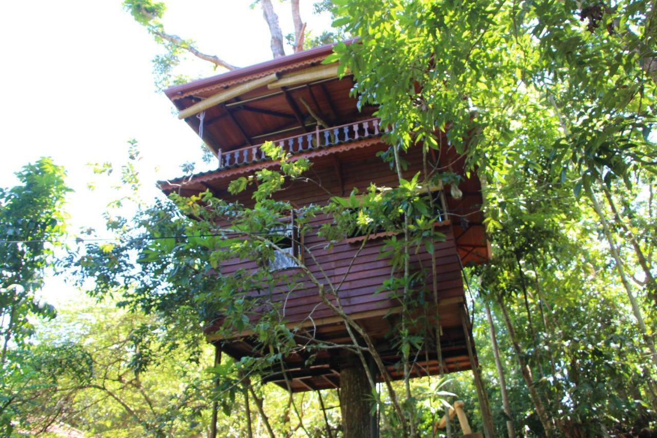 Vila Tree House-Midigama Weligama Exteriér fotografie