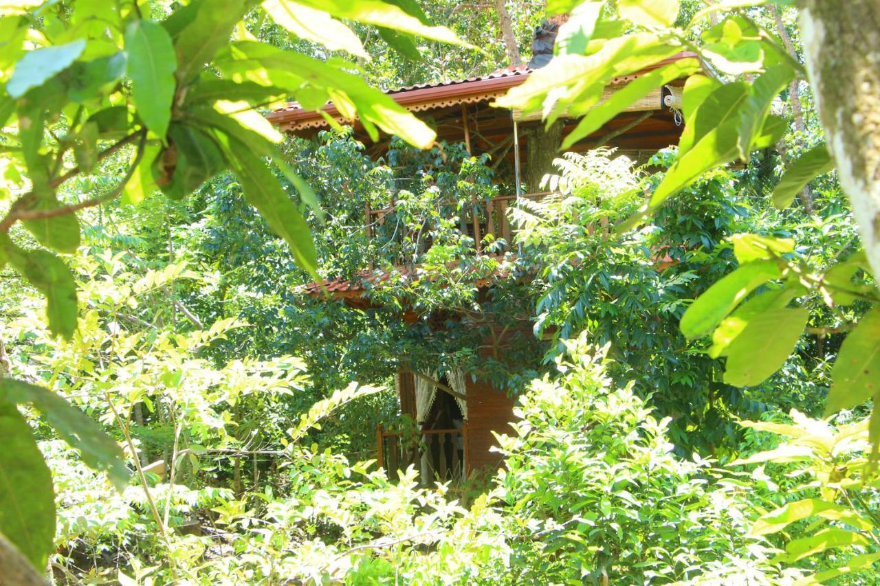 Vila Tree House-Midigama Weligama Exteriér fotografie