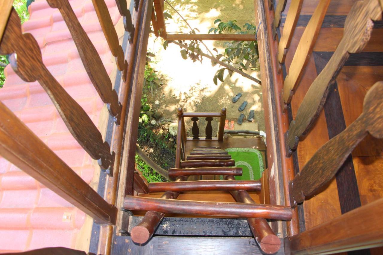 Vila Tree House-Midigama Weligama Exteriér fotografie