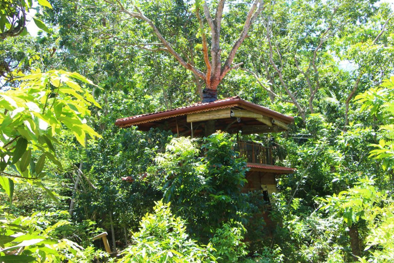 Vila Tree House-Midigama Weligama Exteriér fotografie