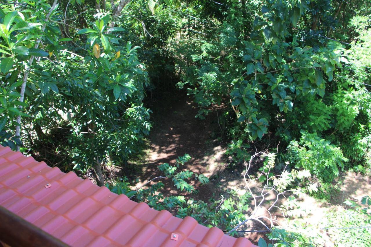 Vila Tree House-Midigama Weligama Exteriér fotografie