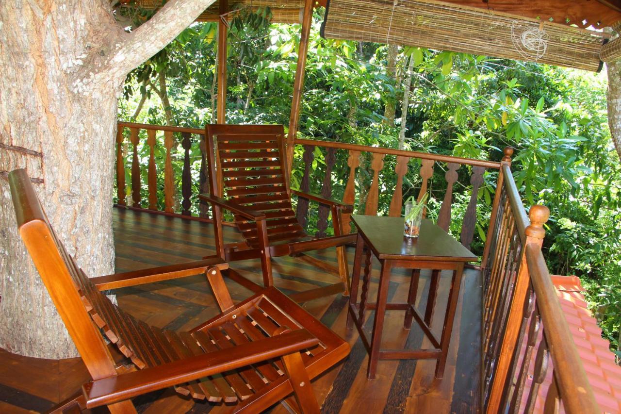 Vila Tree House-Midigama Weligama Exteriér fotografie