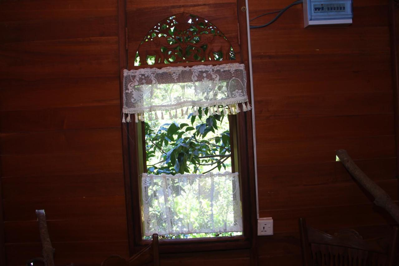 Vila Tree House-Midigama Weligama Exteriér fotografie