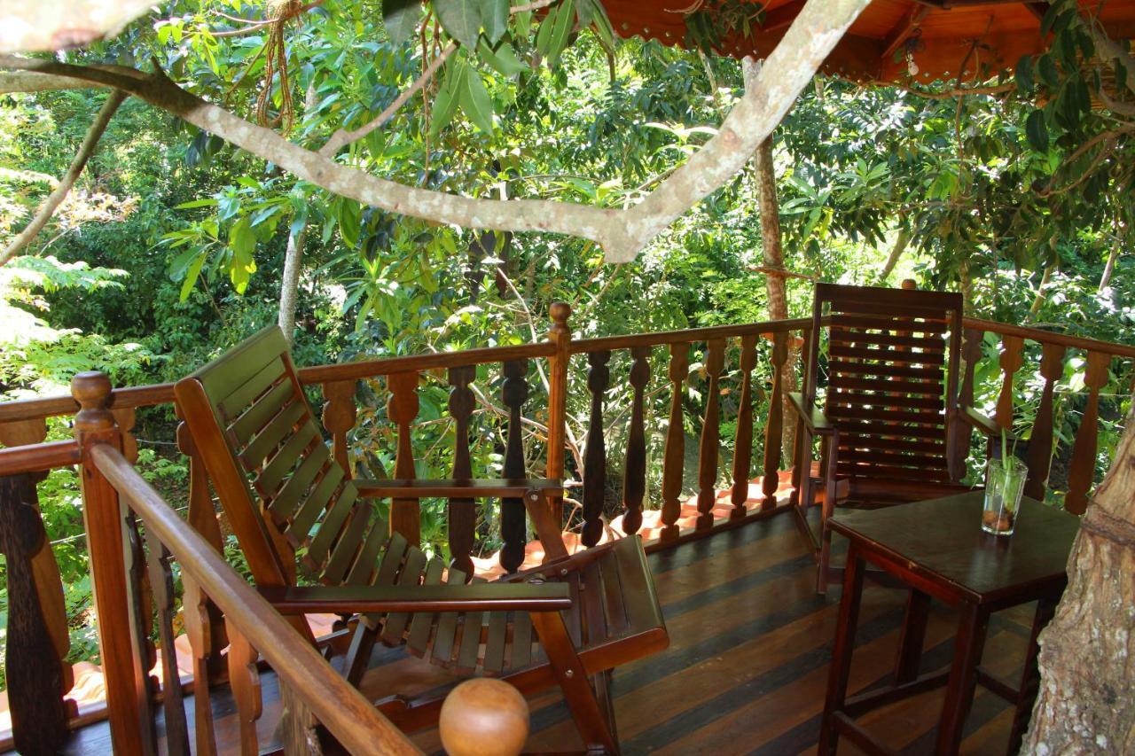 Vila Tree House-Midigama Weligama Exteriér fotografie