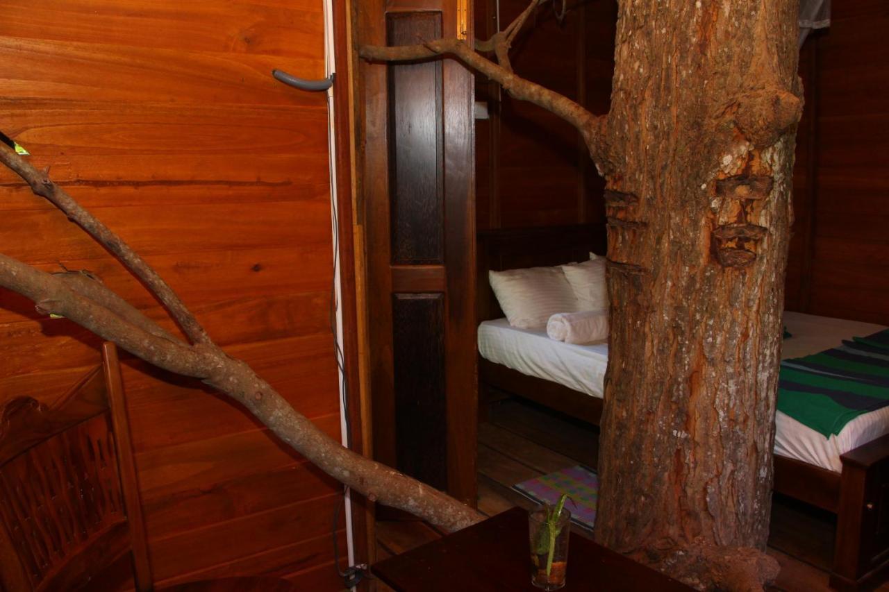 Vila Tree House-Midigama Weligama Exteriér fotografie