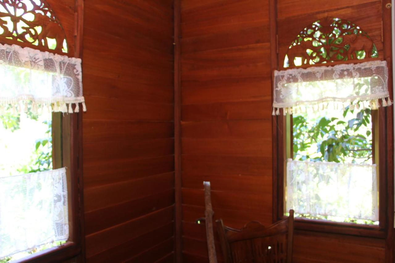 Vila Tree House-Midigama Weligama Exteriér fotografie