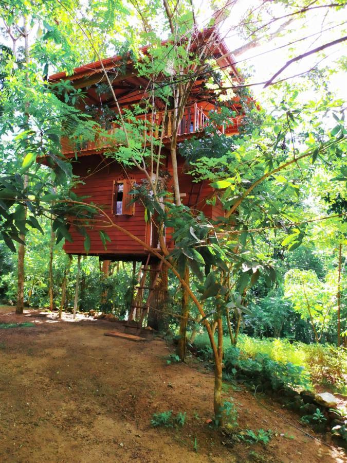 Vila Tree House-Midigama Weligama Exteriér fotografie