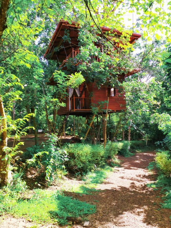 Vila Tree House-Midigama Weligama Exteriér fotografie