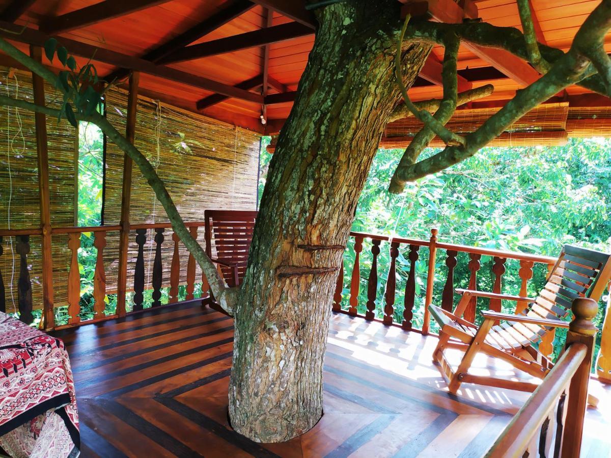 Vila Tree House-Midigama Weligama Exteriér fotografie